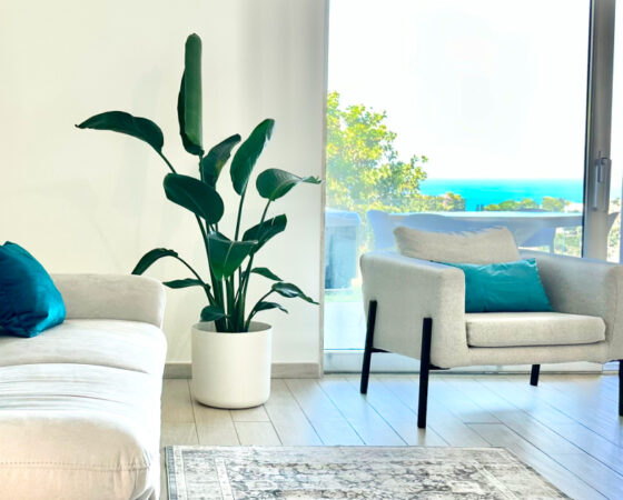 Suite Panorama